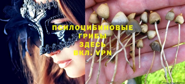 тгк Беломорск