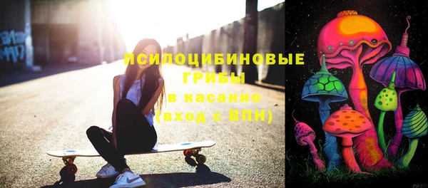 тгк Беломорск