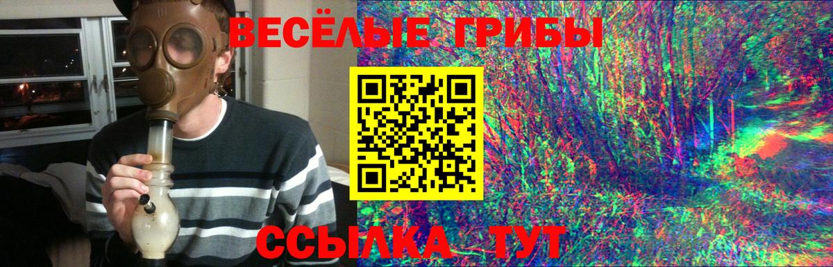 Псилоцибиновые грибы прущие грибы Воркута
