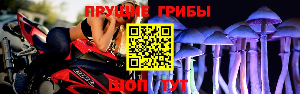 Галлюциногенные грибы Psilocybine cubensis Воркута